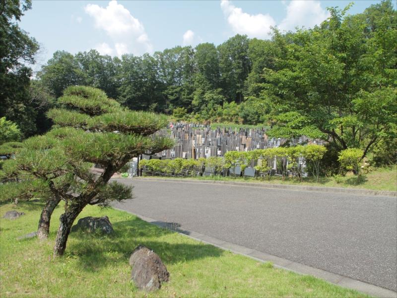 浄光の森聖地 - Image 10