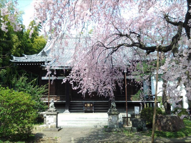 玄照寺 - Image 12