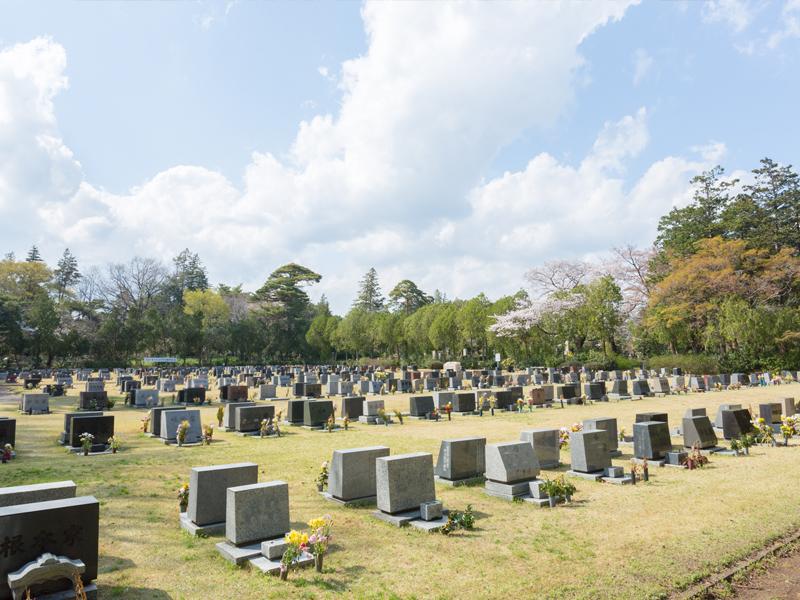 都立多磨霊園 - Image 6