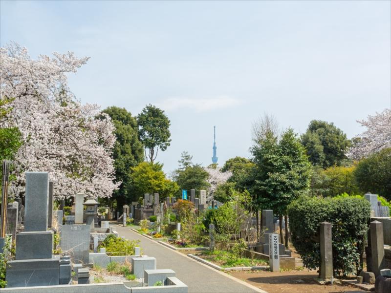 都立谷中霊園 - Image 5