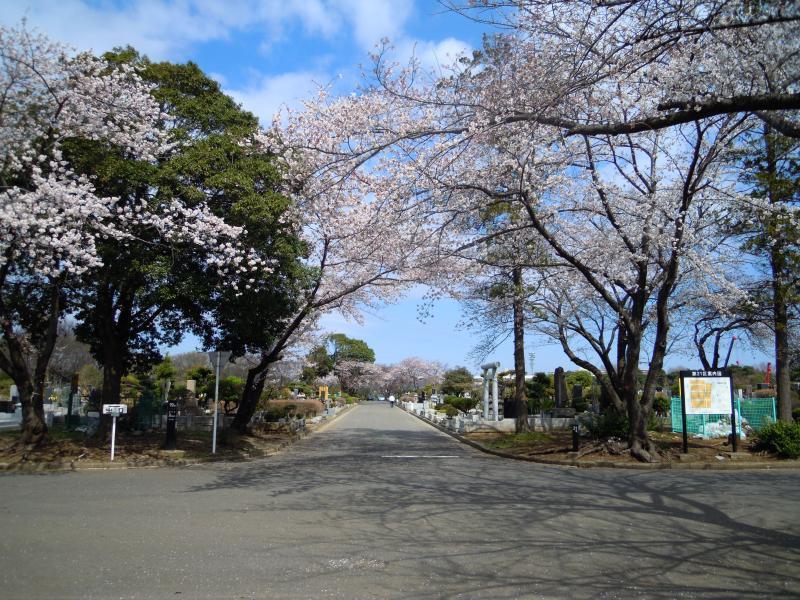 都立八柱霊園 - Image 3