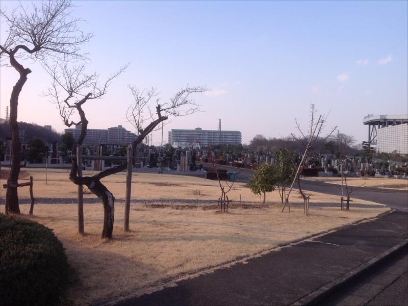 八王子市営 南多摩都市霊園 - Image 8