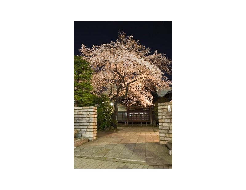 大信寺 之音堂 - Image 8