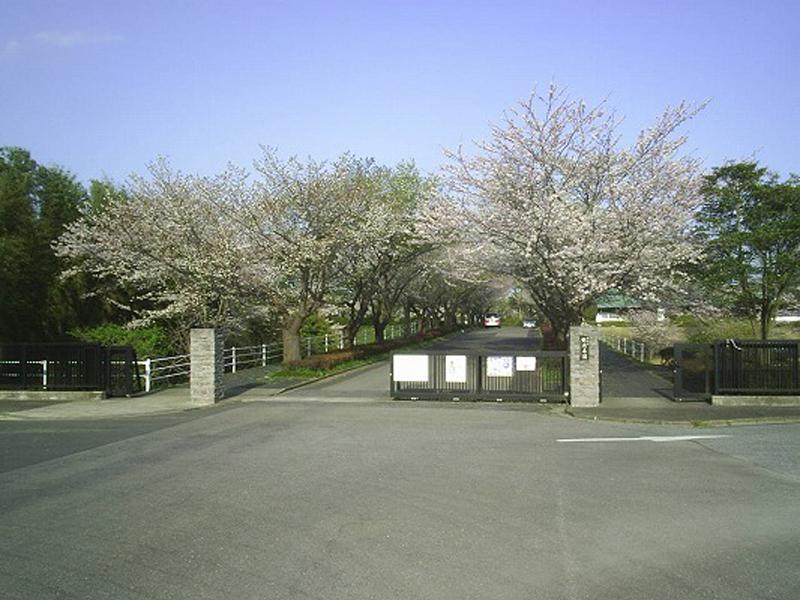 市原市営能満墓園 - Image 2