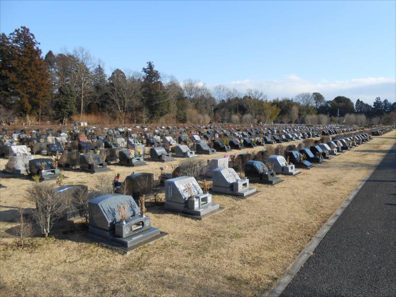 千葉市平和公園 - Image 2