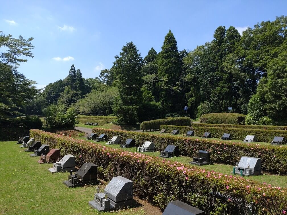 千葉市平和公園 - Image 4