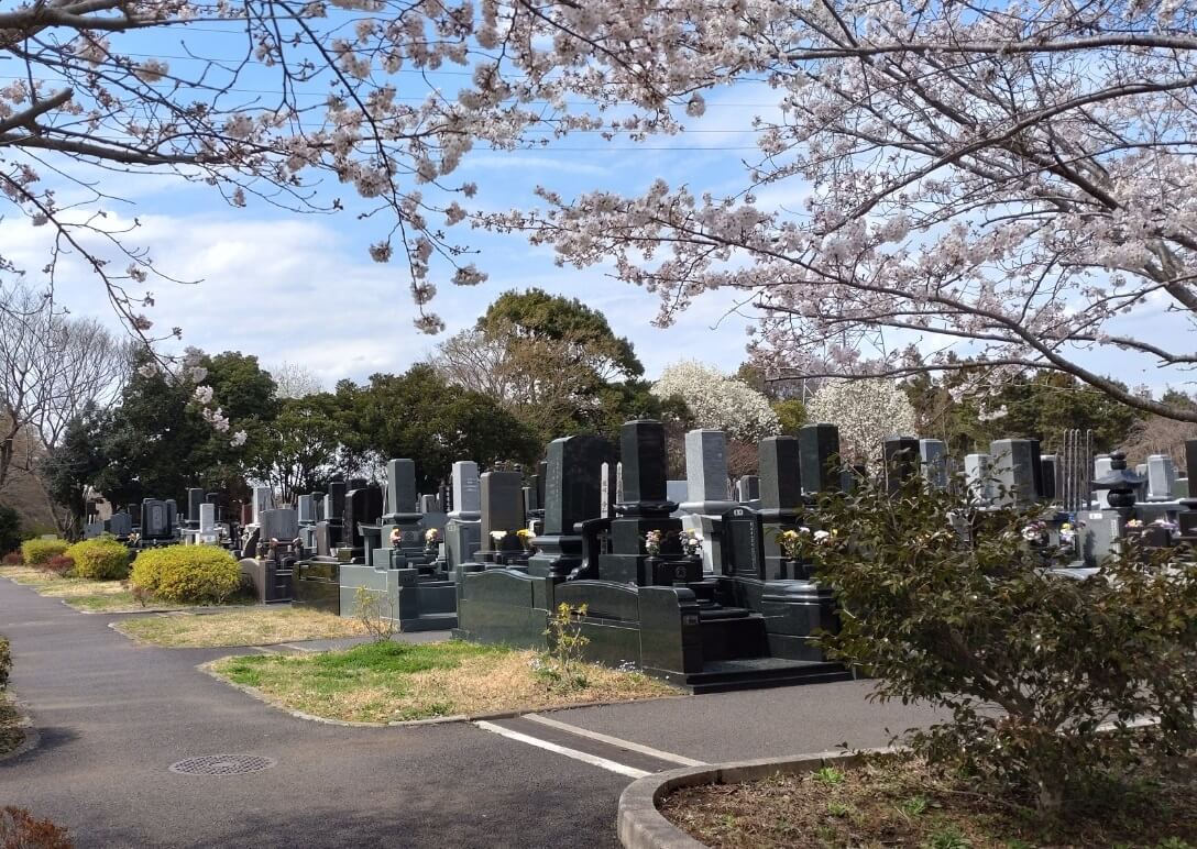 千葉市平和公園 - Image 9