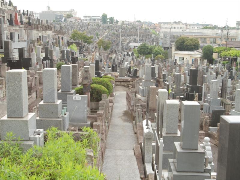 横浜市営 三ツ沢墓地 - Image 6