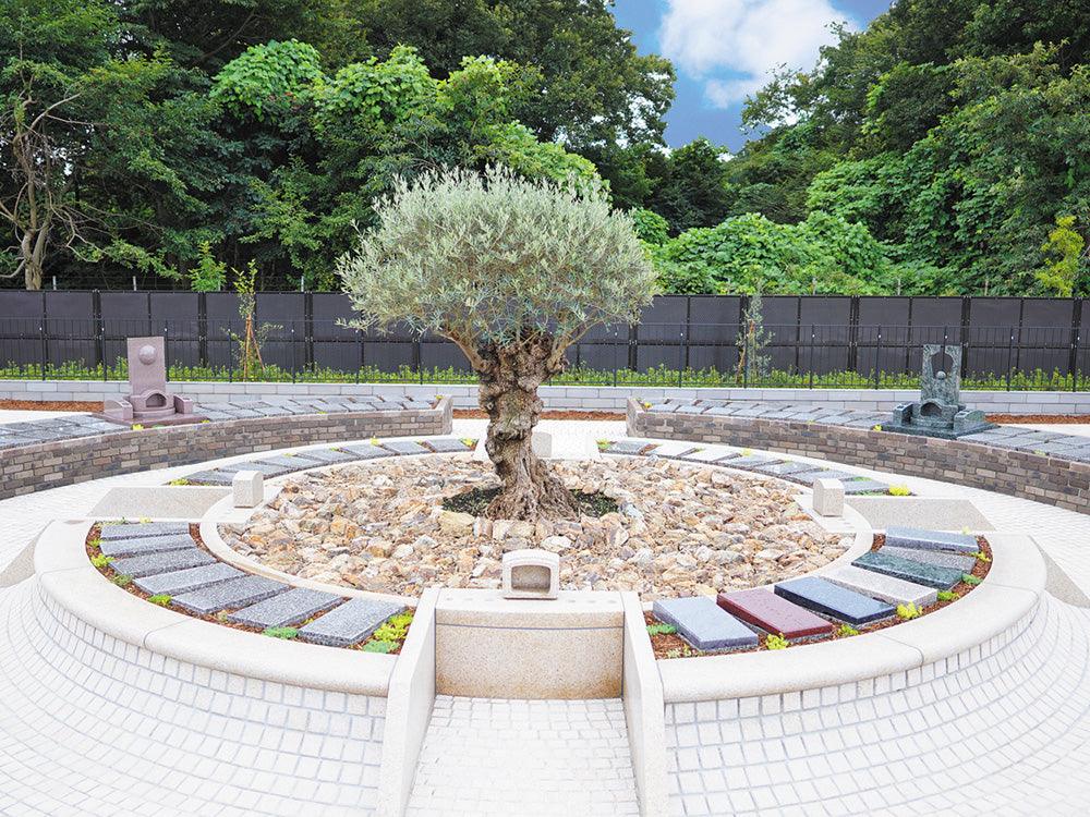 オリーブGarden - Image 2