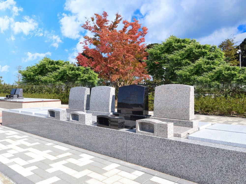 オリーブGarden - Image 5