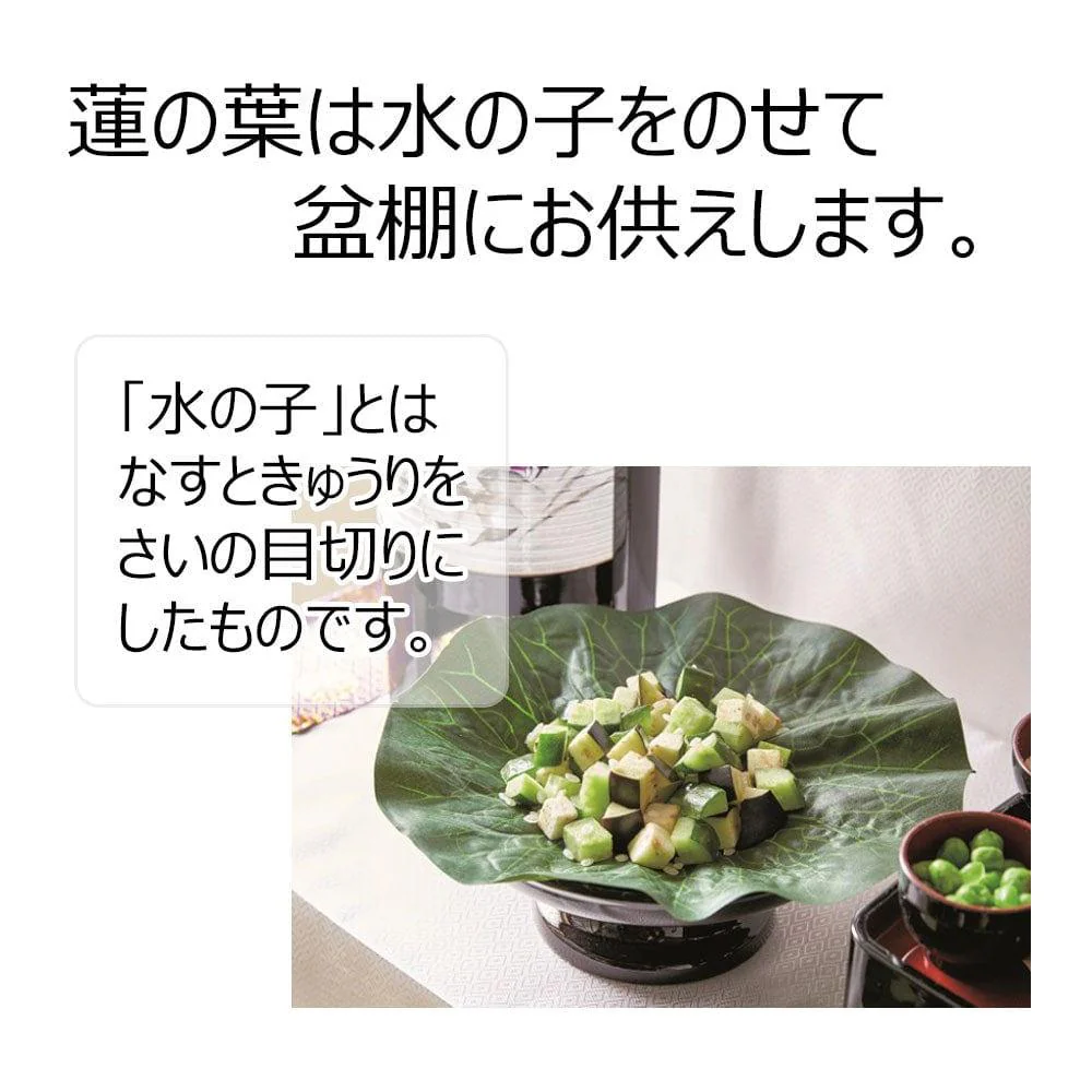 お盆用品 蓮の葉 - Image 2