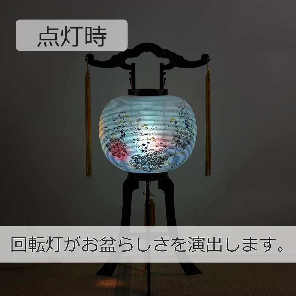 回転 11号 小菊紫ボカシ - Image 4