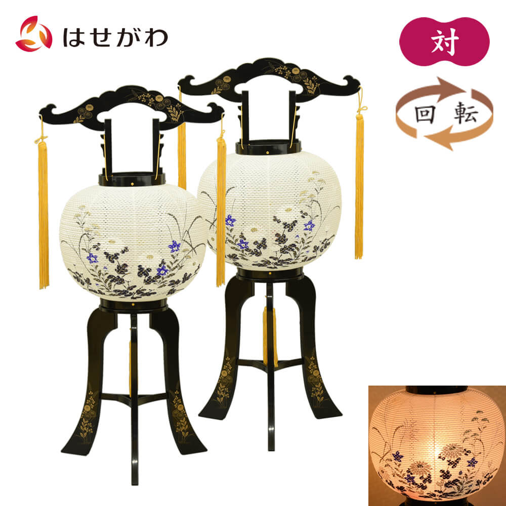 回転 菊桔梗 10号 対