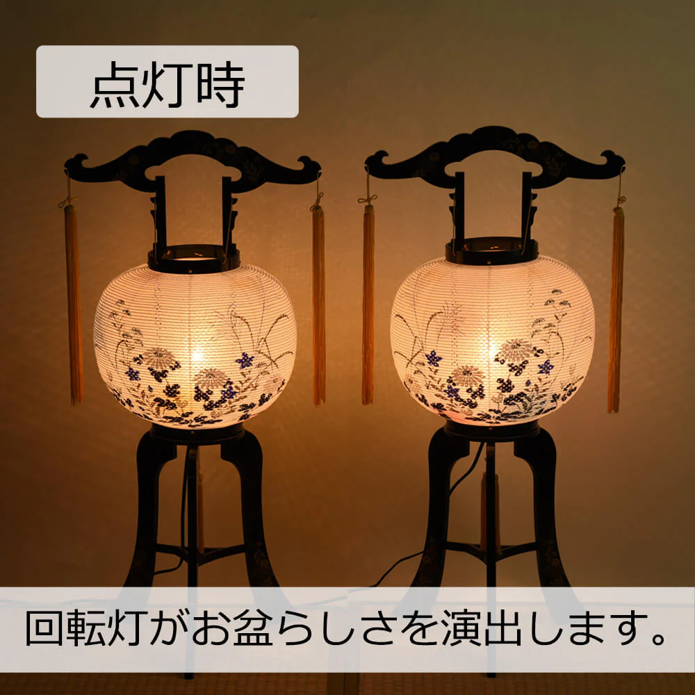回転 菊桔梗 10号 対 - Image 4