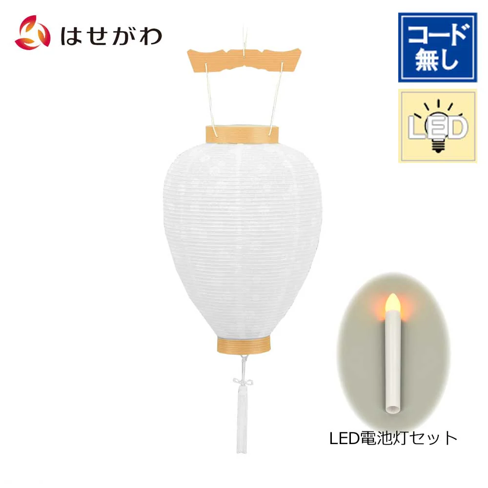 御所 中尺柾紋天 LED電池灯入