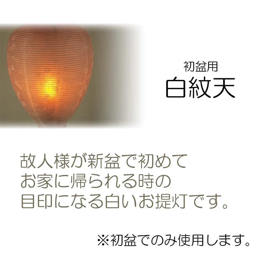 御所 中尺柾紋天 LED電池灯入 - Image 2