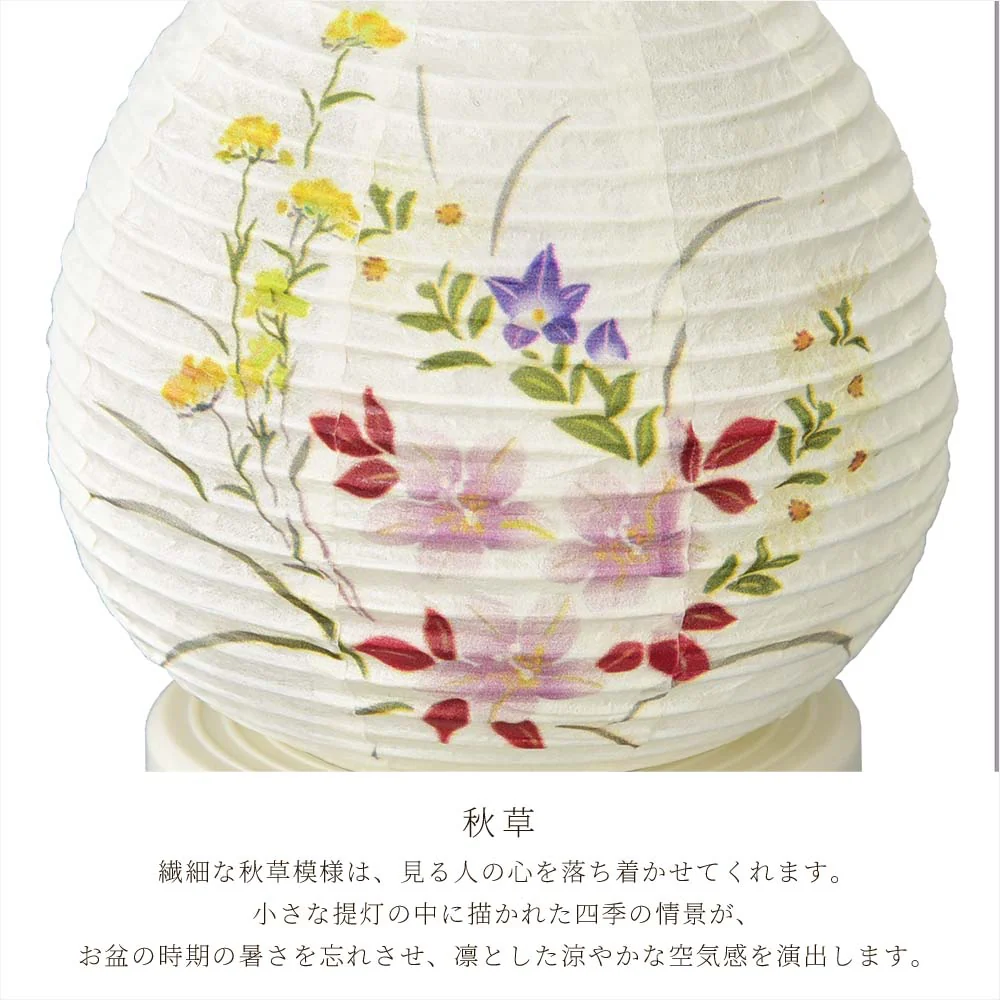 【WEB限定】新型 Lien (リアン) ホワイト 秋草 - Image 4