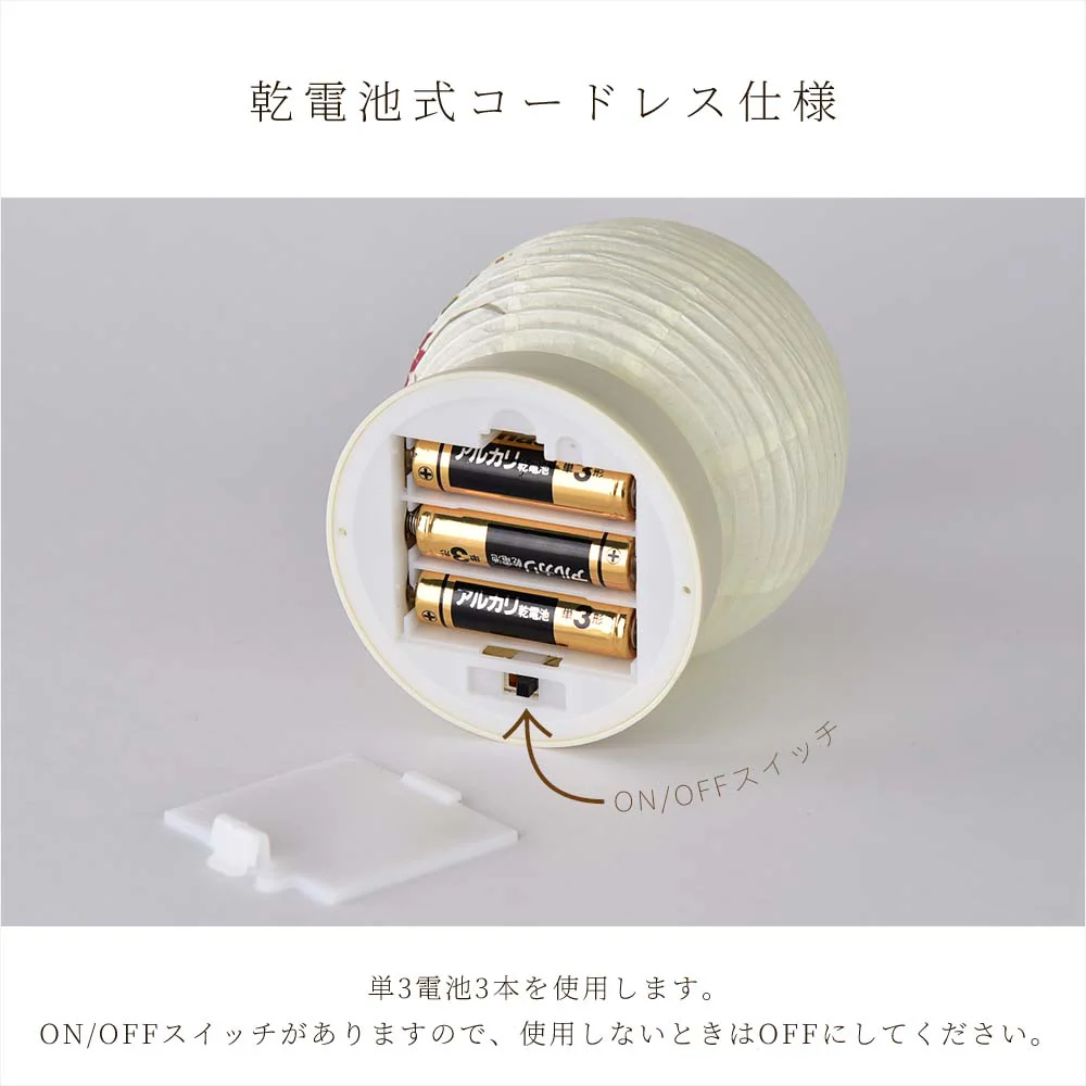 【WEB限定】新型 Lien (リアン) ホワイト 秋草 - Image 7