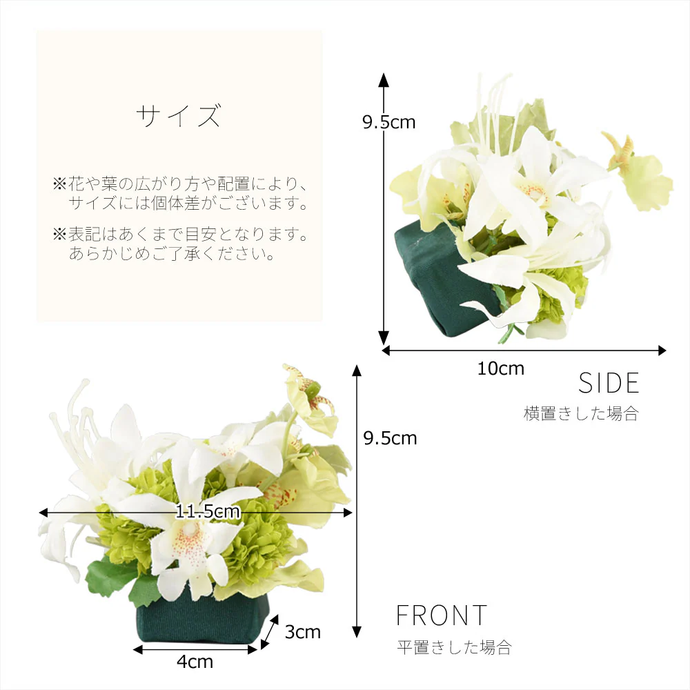 添花 (ソエカ) ネリネ グリーン - Image 6