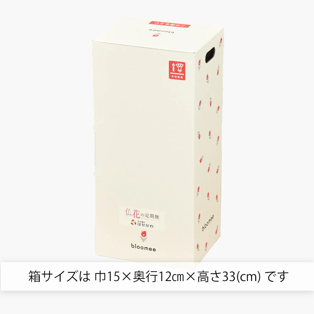 仏花の定期便(1回のみお試しプラン) 5本セット - Image 10