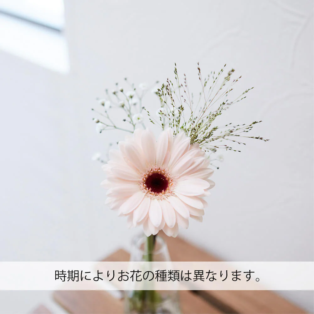 仏花の定期便(週1回・隔週プラン) 3本セット - Image 5