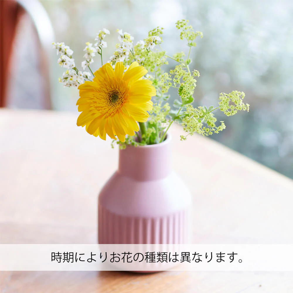 仏花の定期便(週1回・隔週プラン) 3本セット - Image 7