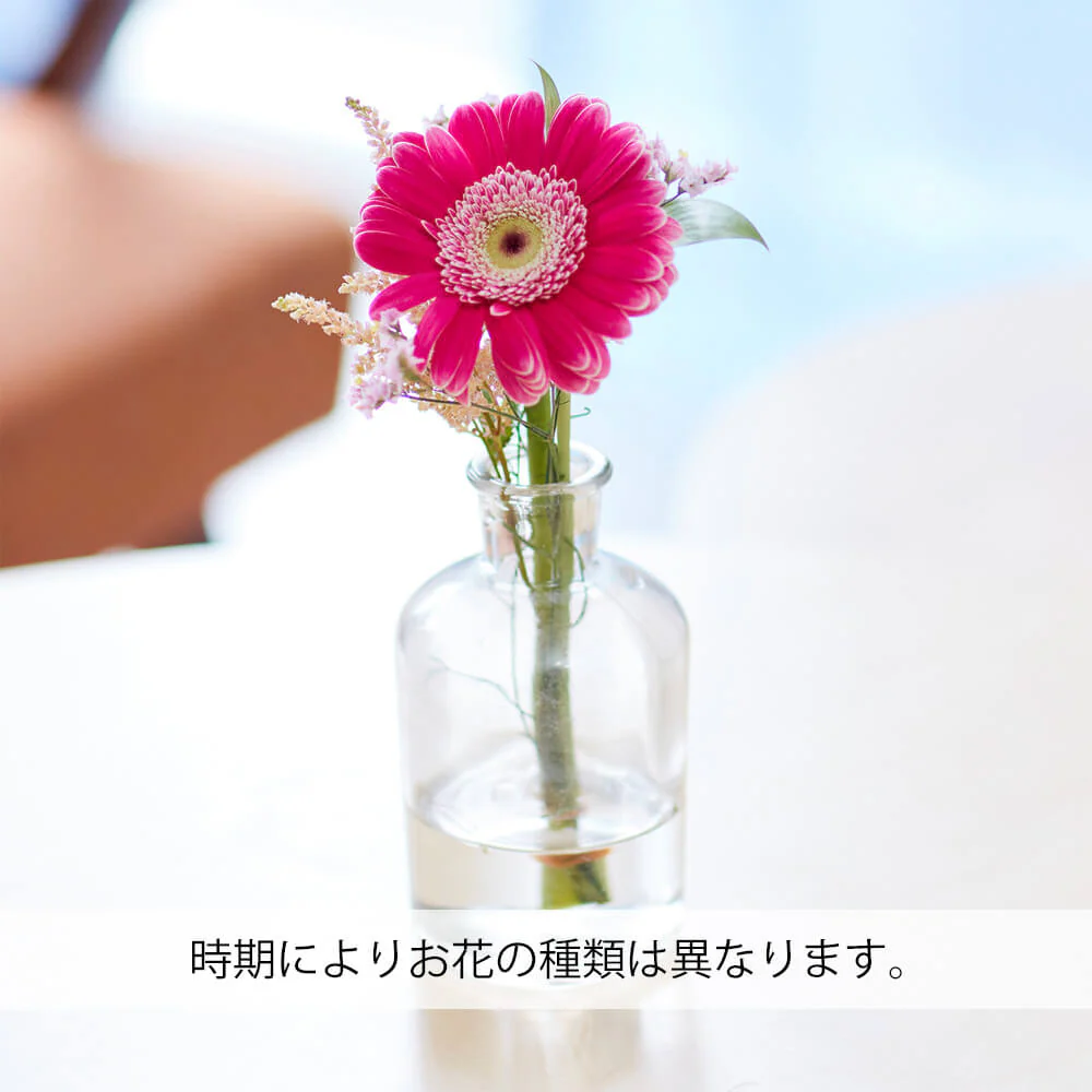 仏花の定期便(週1回・隔週プラン) 3本セット - Image 8