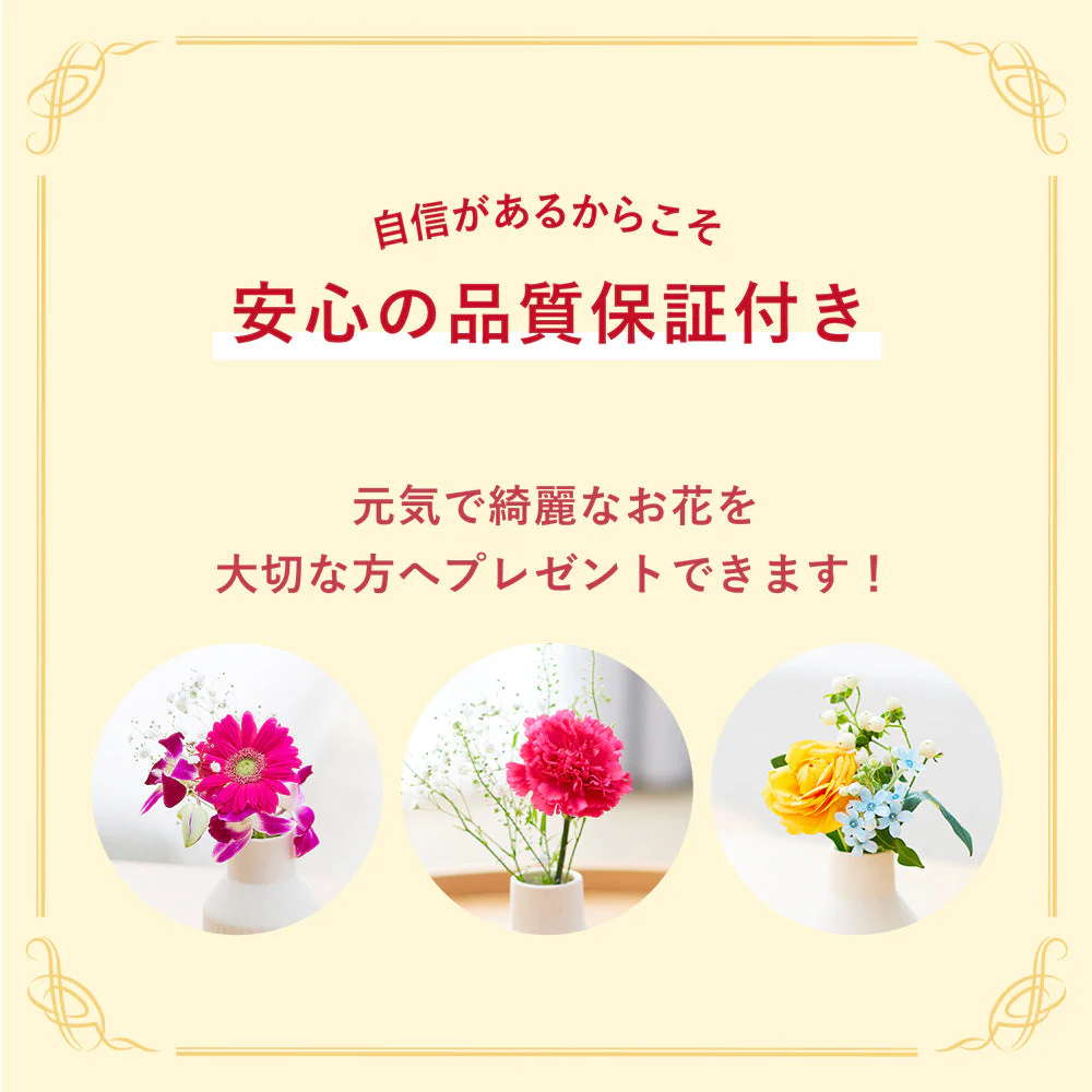 仏花の定期便(週1回・隔週プラン) 5本セット - Image 14