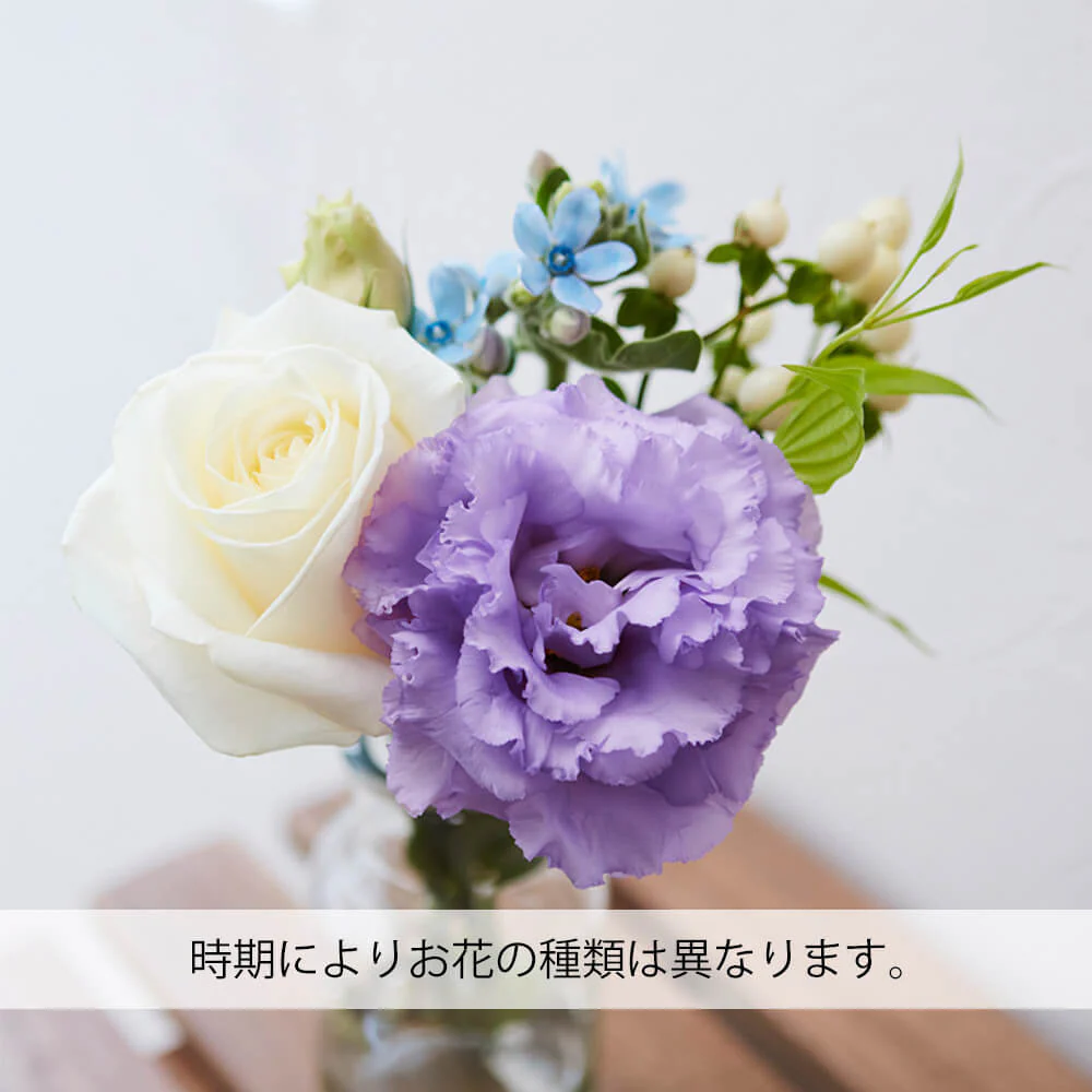 仏花の定期便 5本＋少煙線香コース 澄華(ちょうか) - Image 7