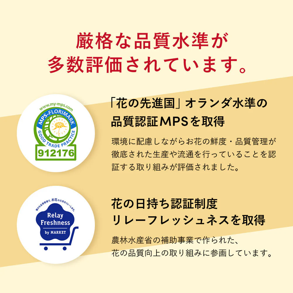 仏花の定期便(週1回・隔週プラン) 8本セット - Image 11