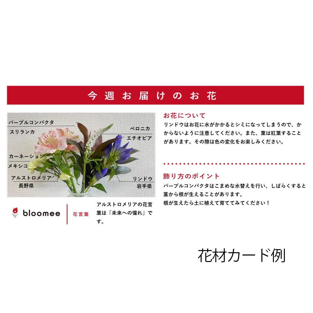 仏花の定期便(月1回プラン) 5本セット - Image 12
