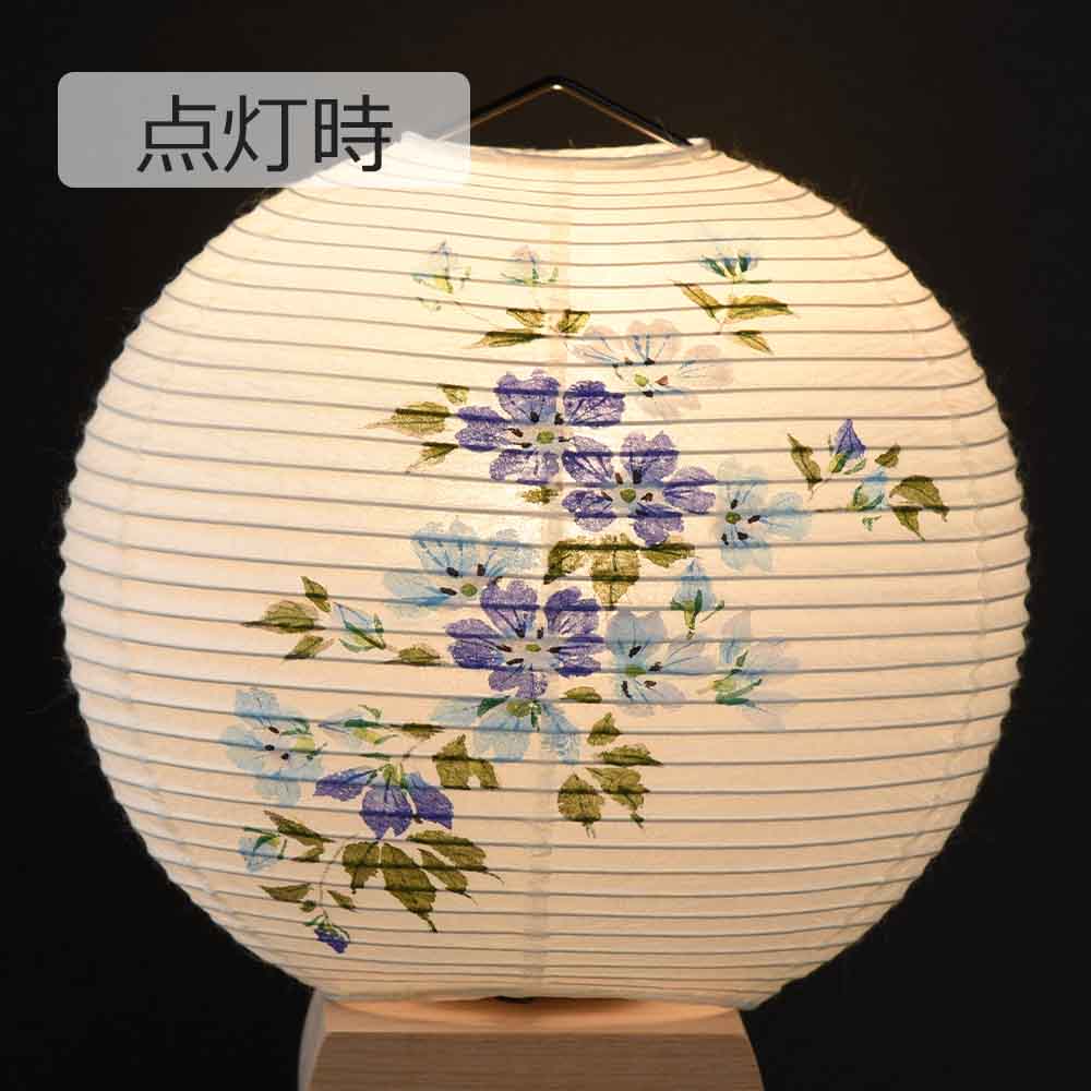 新型 円想 白紋天・ネモフィラ - Image 11