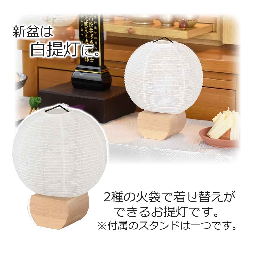 新型 円想 白紋天・ネモフィラ - Image 4