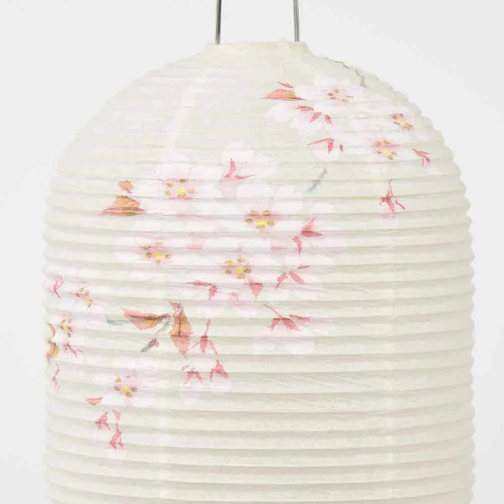 新型 ほのか 華5号 桜 - Image 5