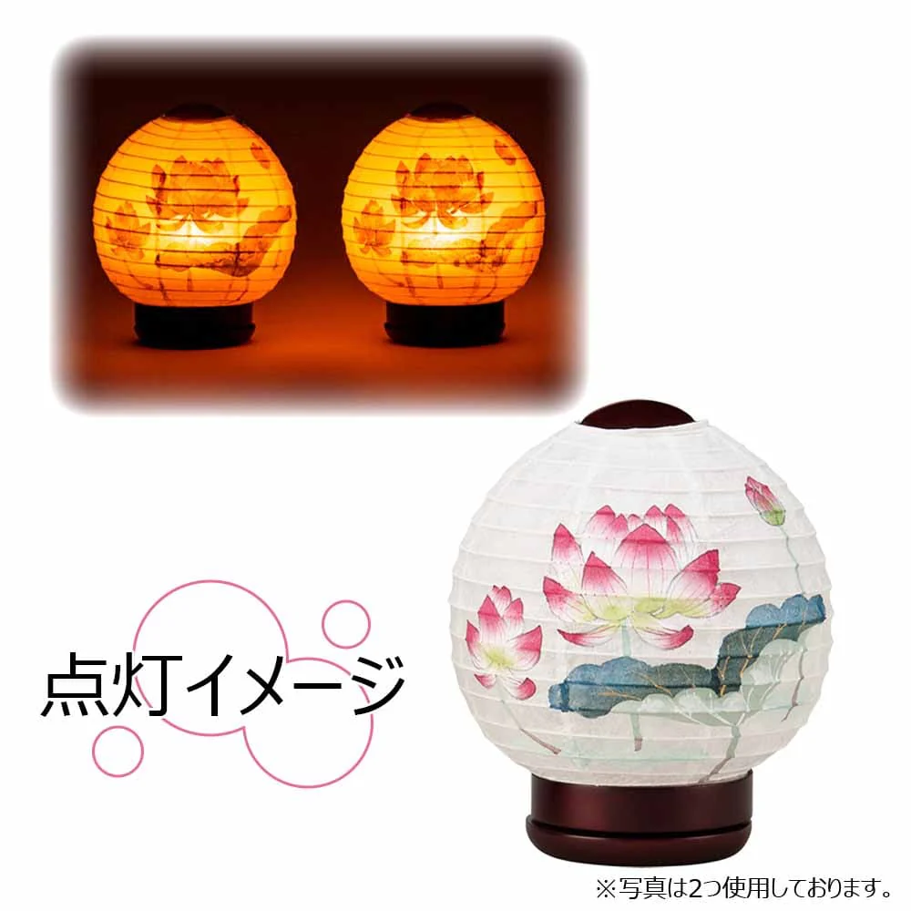 新型 ほのか 華1号 蓮 - Image 3