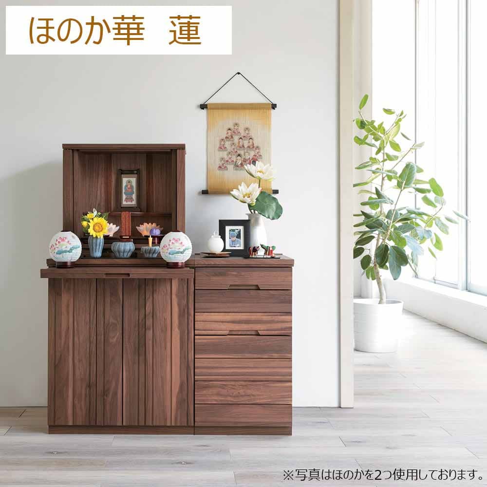 新型 ほのか 華1号 蓮 - Image 4