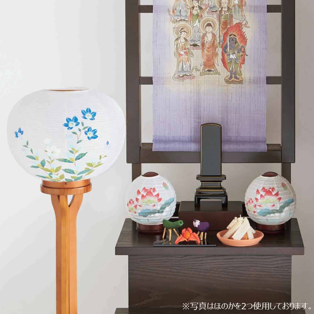 新型 ほのか 華1号 蓮 - Image 5