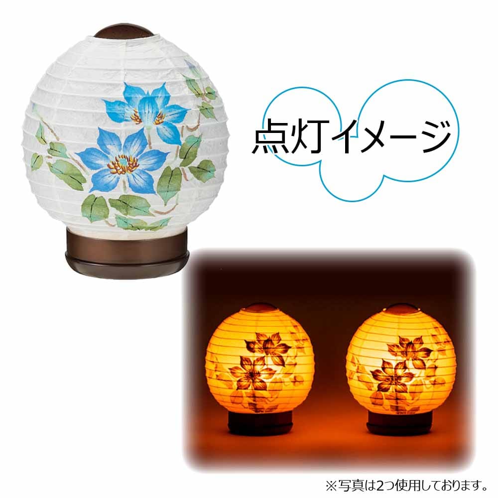 新型 ほのか 華1号 鉄線 - Image 3