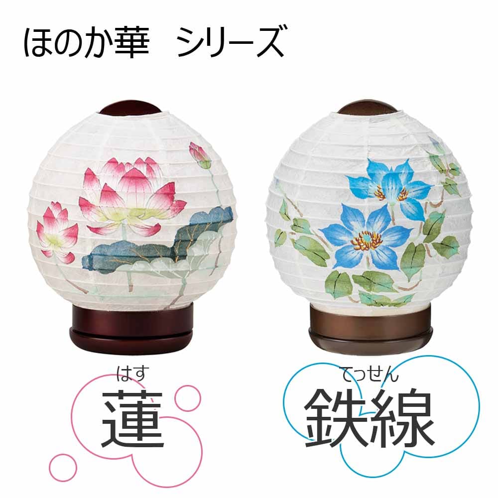 新型 ほのか 華1号 鉄線 - Image 6