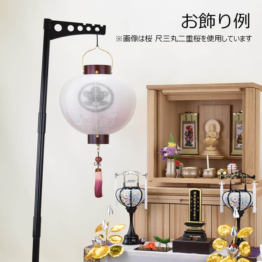 門提灯 桜 尺五丸 二重桜 - Image 6