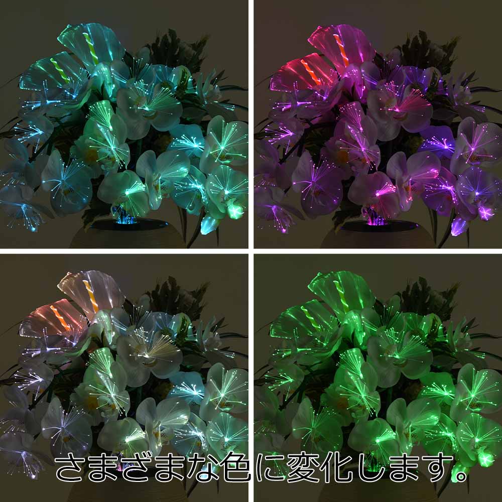 新型 ルミナス アレンジ 胡蝶蘭 LED - Image 4