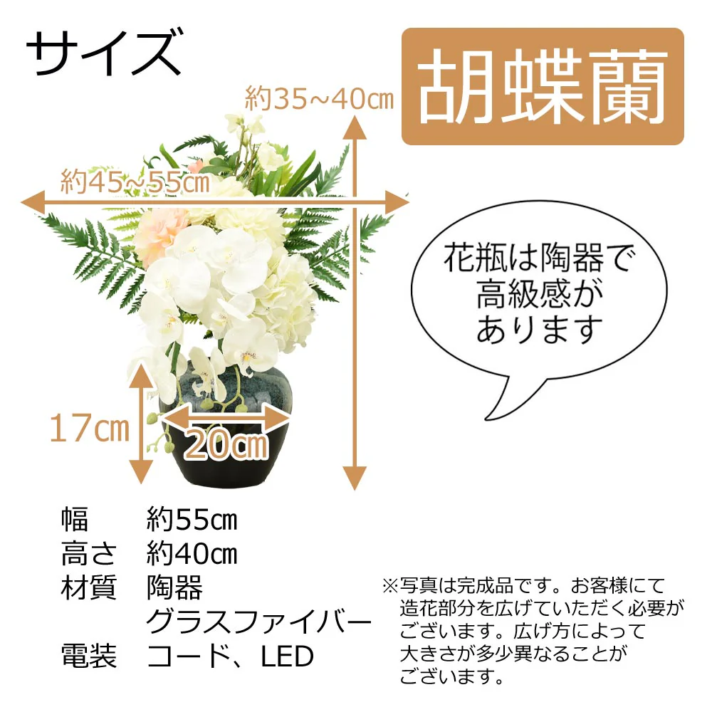 新型 ルミナス 胡蝶蘭 静 - Image 2