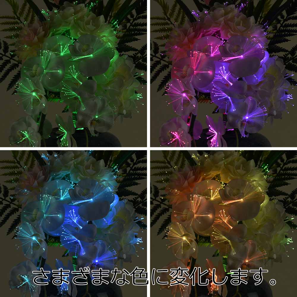 新型 ルミナス 胡蝶蘭 静 - Image 4