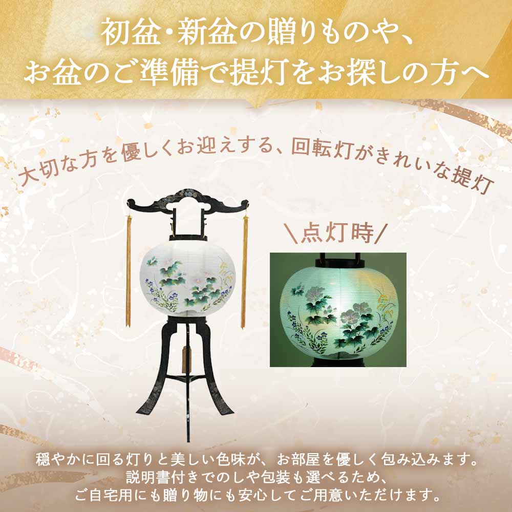 回転 11号 菊蒔絵 - Image 2