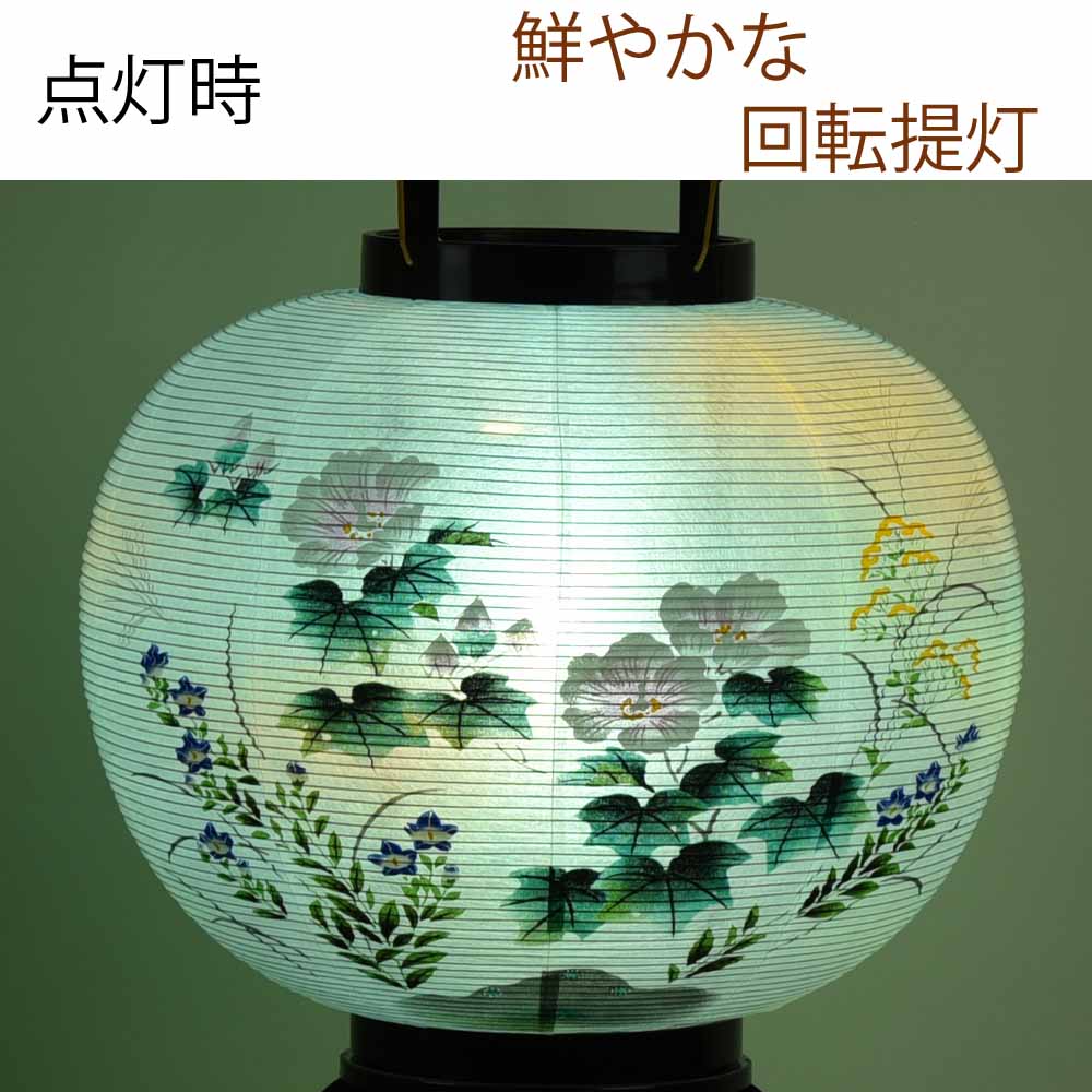 回転 11号 菊蒔絵 - Image 7
