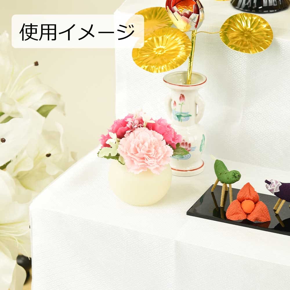 灯す(トモス)ボール カーネーション PI - Image 5