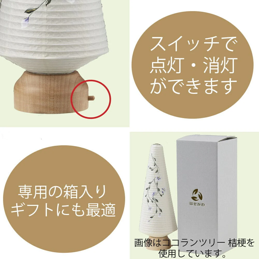 新型 ココランツリー 桔梗 - Image 7
