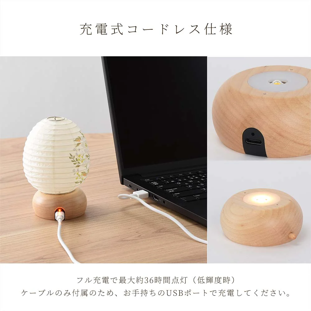 新型 ココランミニミニ 玉簾 - Image 11