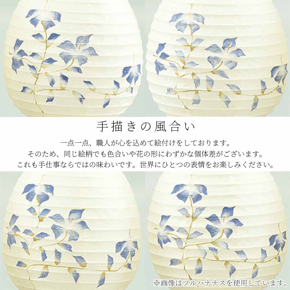 新型 ココランミニミニ 玉簾 - Image 12