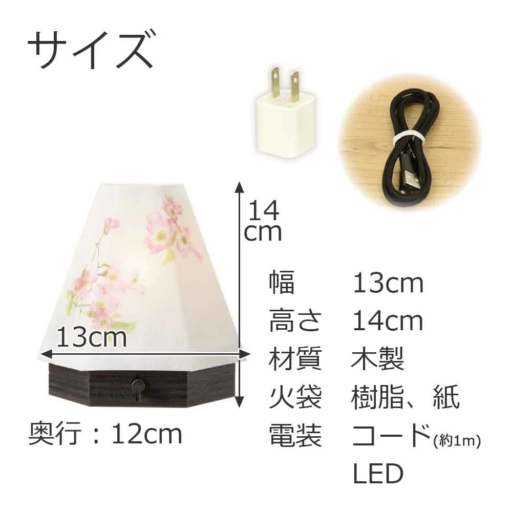 新型 六花灯 コンペイトウ・ハナミズキ - Image 12